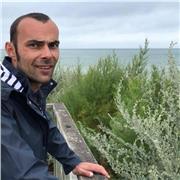 Natif polonais tous les niveaux